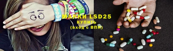 индика Вязьма