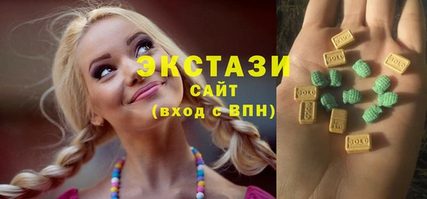 индика Вязьма