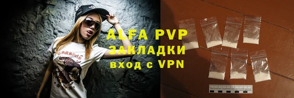 индика Вязьма