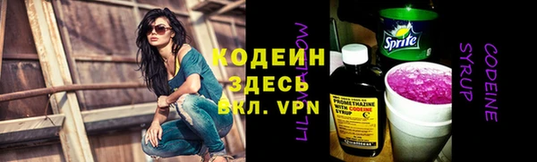 индика Вязьма