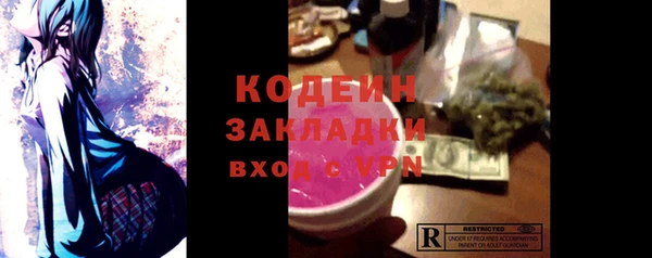 индика Вязьма