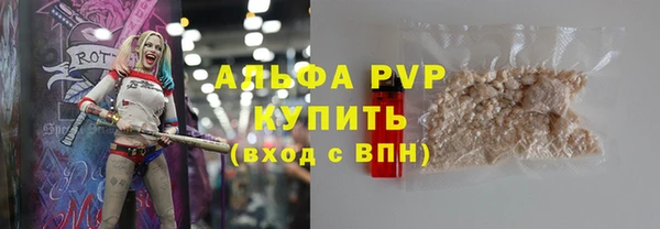 индика Вязьма