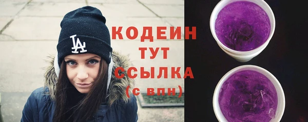 индика Вязьма