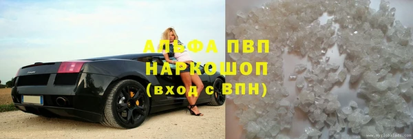 скорость Вяземский