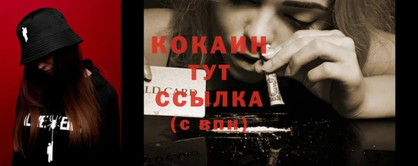 индика Вязьма