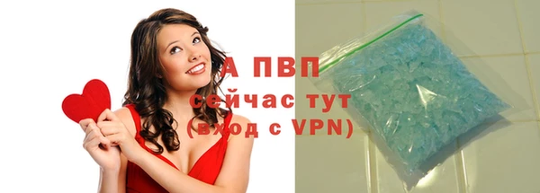 индика Вязьма