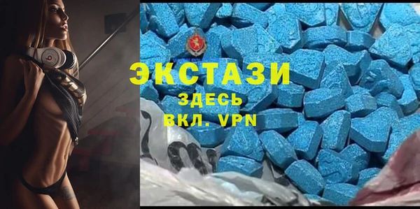 скорость Вяземский