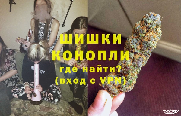 скорость Вяземский