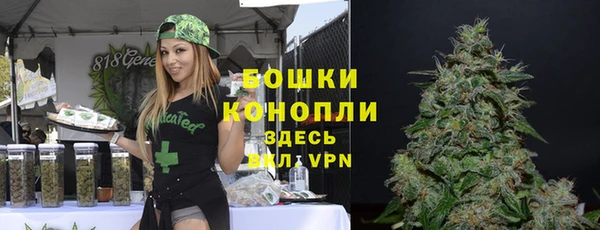 скорость Вяземский