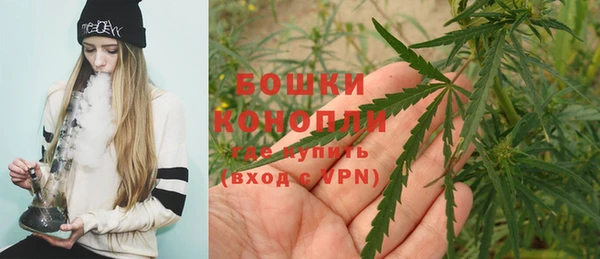 скорость Вяземский